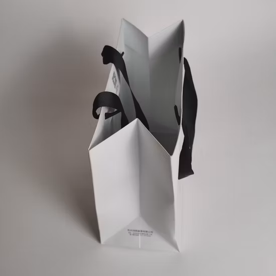 Printed Black Paper Packaging Luxury Shopping Gift Bag with Handle